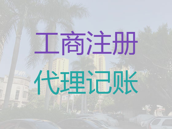 三亚会计服务代理记账|互联网公司代理记账